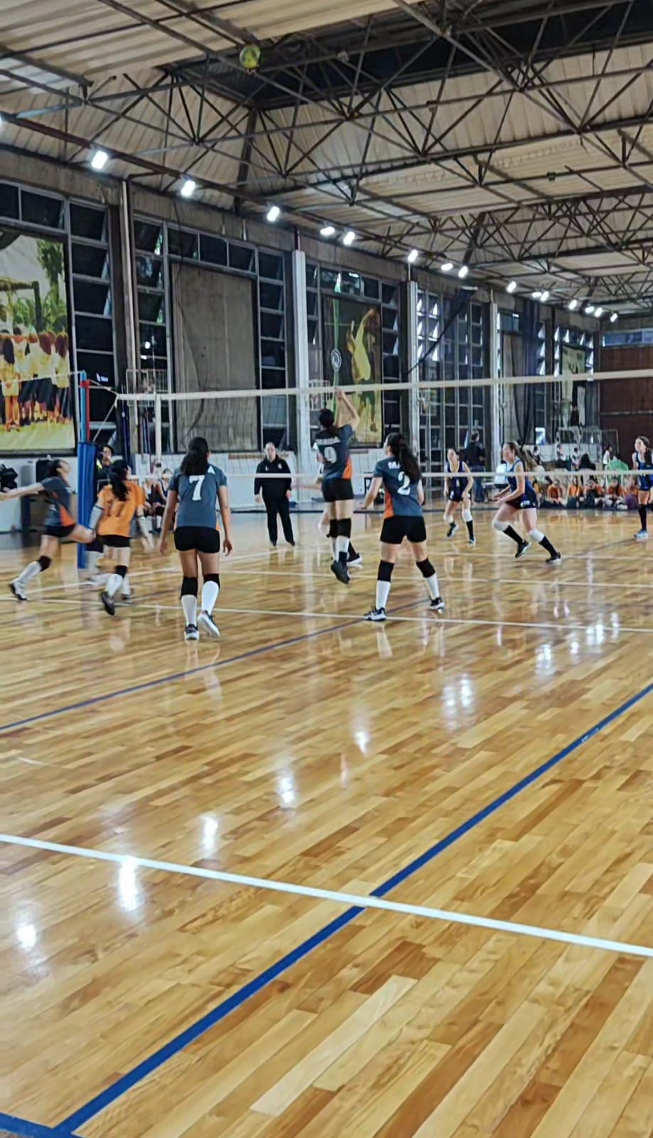 Copa-Pinheiros-Voleibol